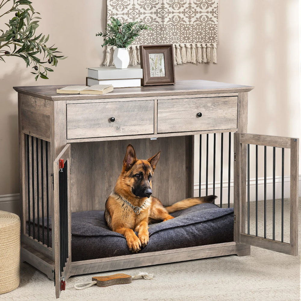 Home Pet Products