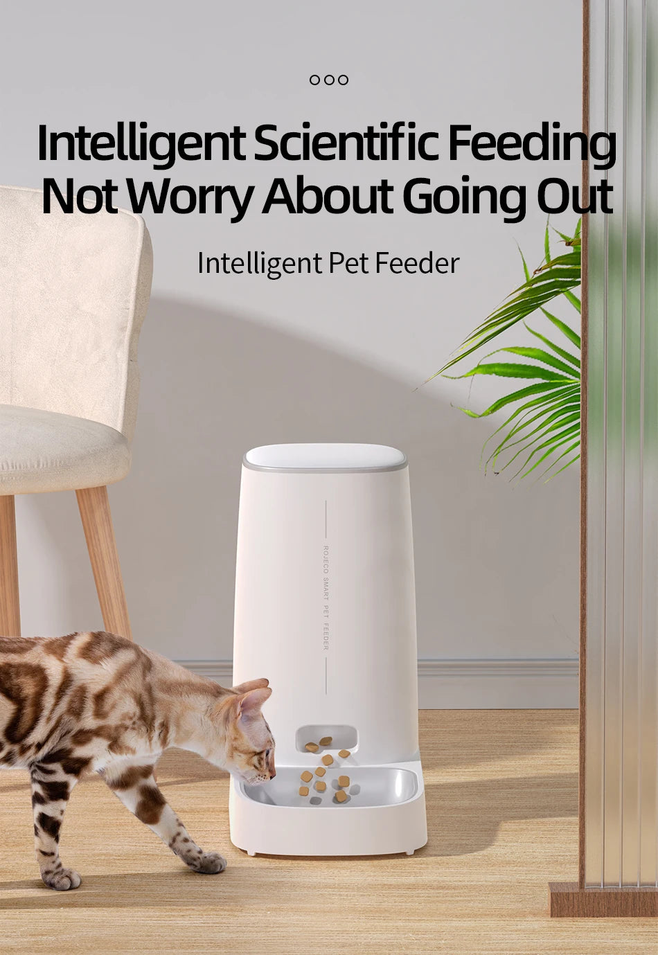 ROJECO Smart WiFi Automatic Pet Feeder