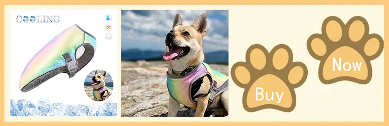 Summer Dog Cooling Vest Harness